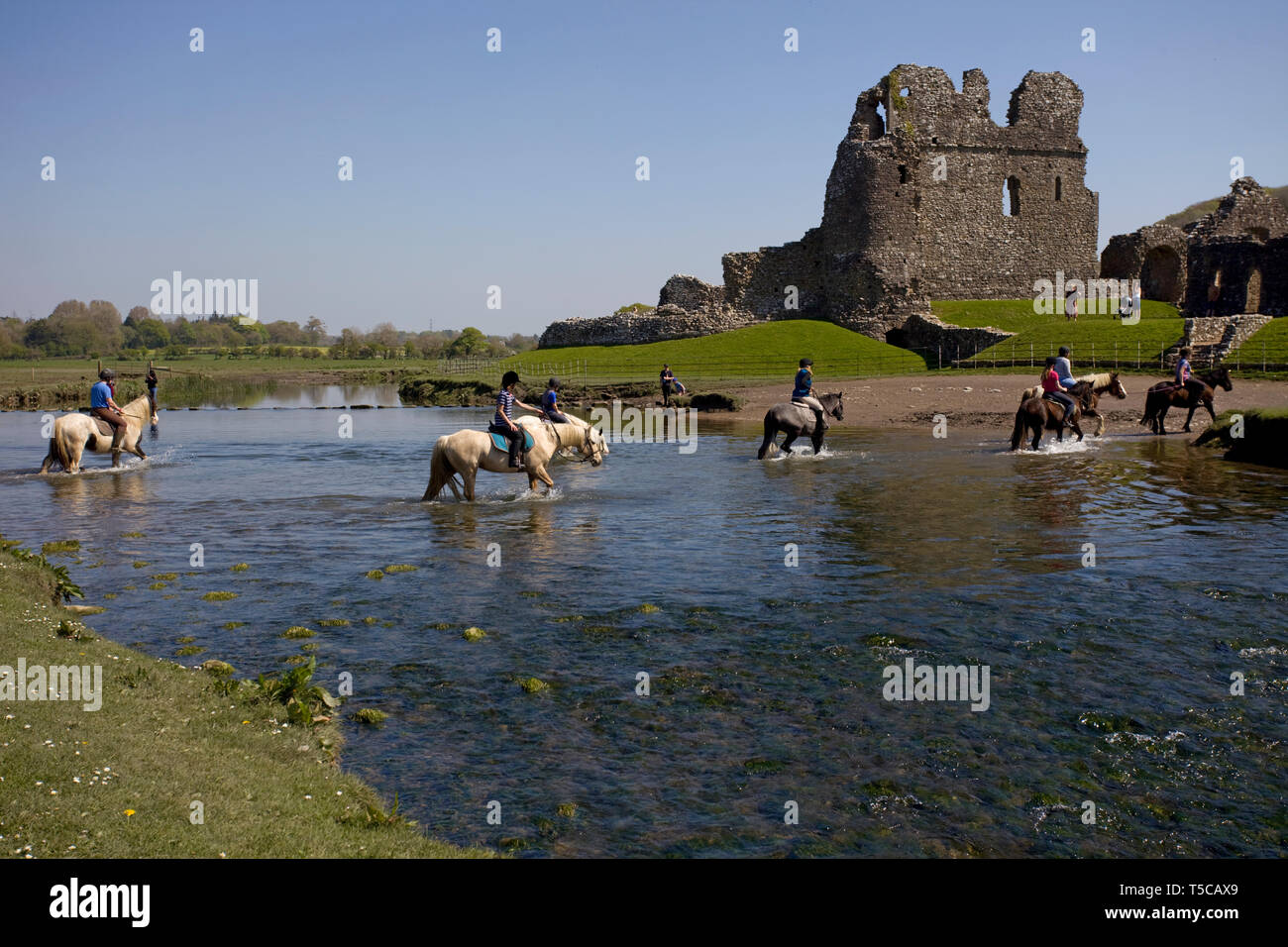 Horse crossing the river Ewenny, Ogmore castle, Vale of Glamorgan South Wales Stock Photo