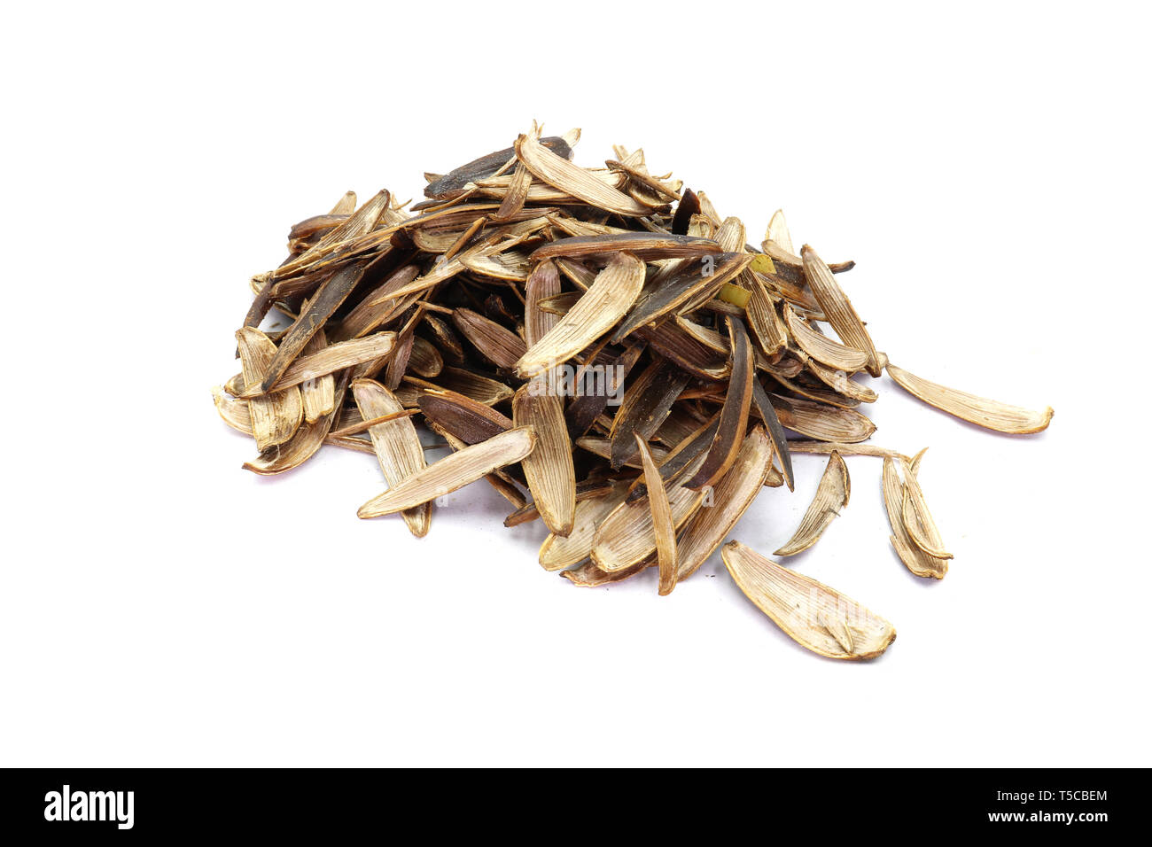 Peel of sunflower seed isolated on white background. High resolution ...