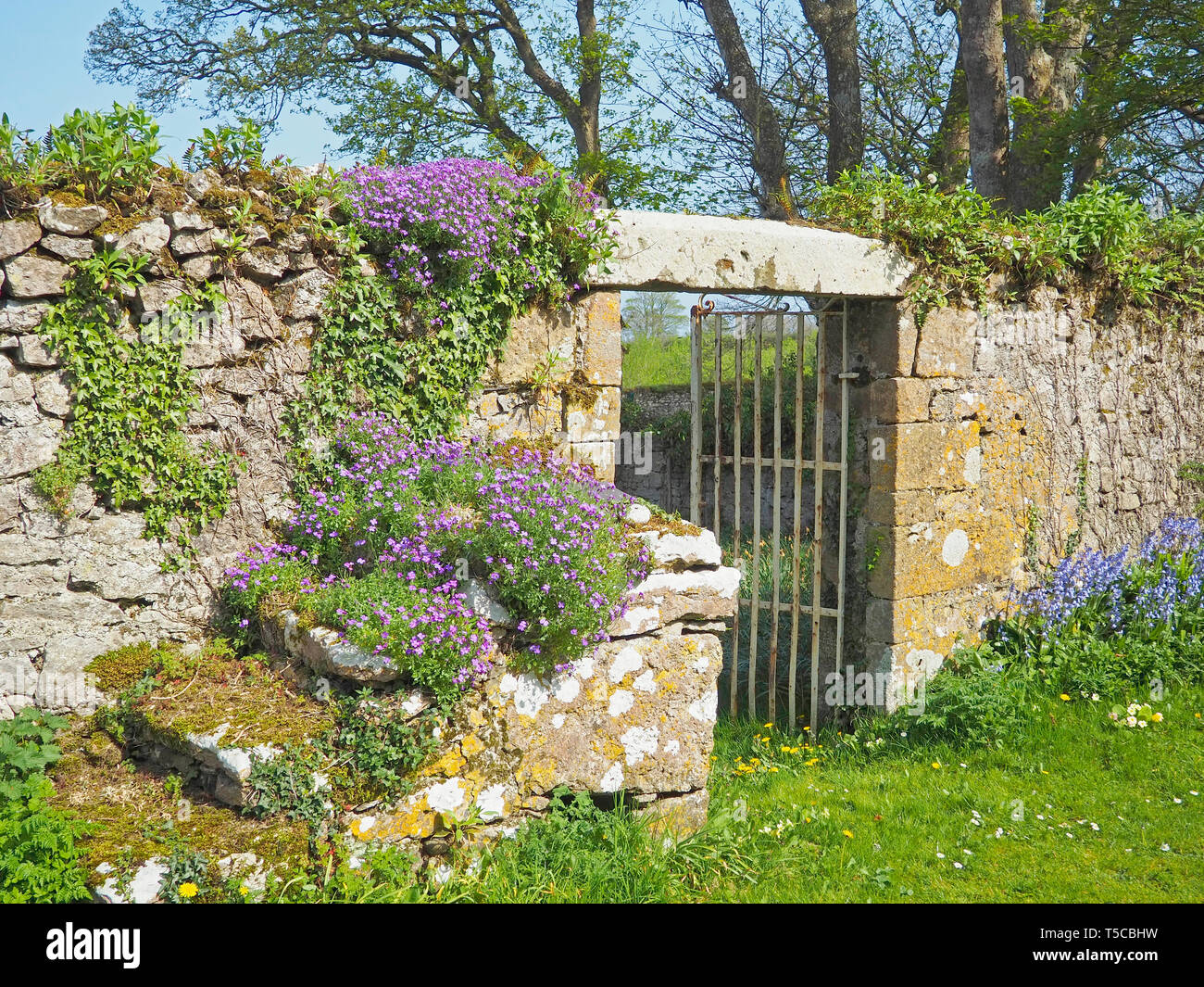 Walled Garden and Gate Anglesey Mona North Wales UK United kingdom