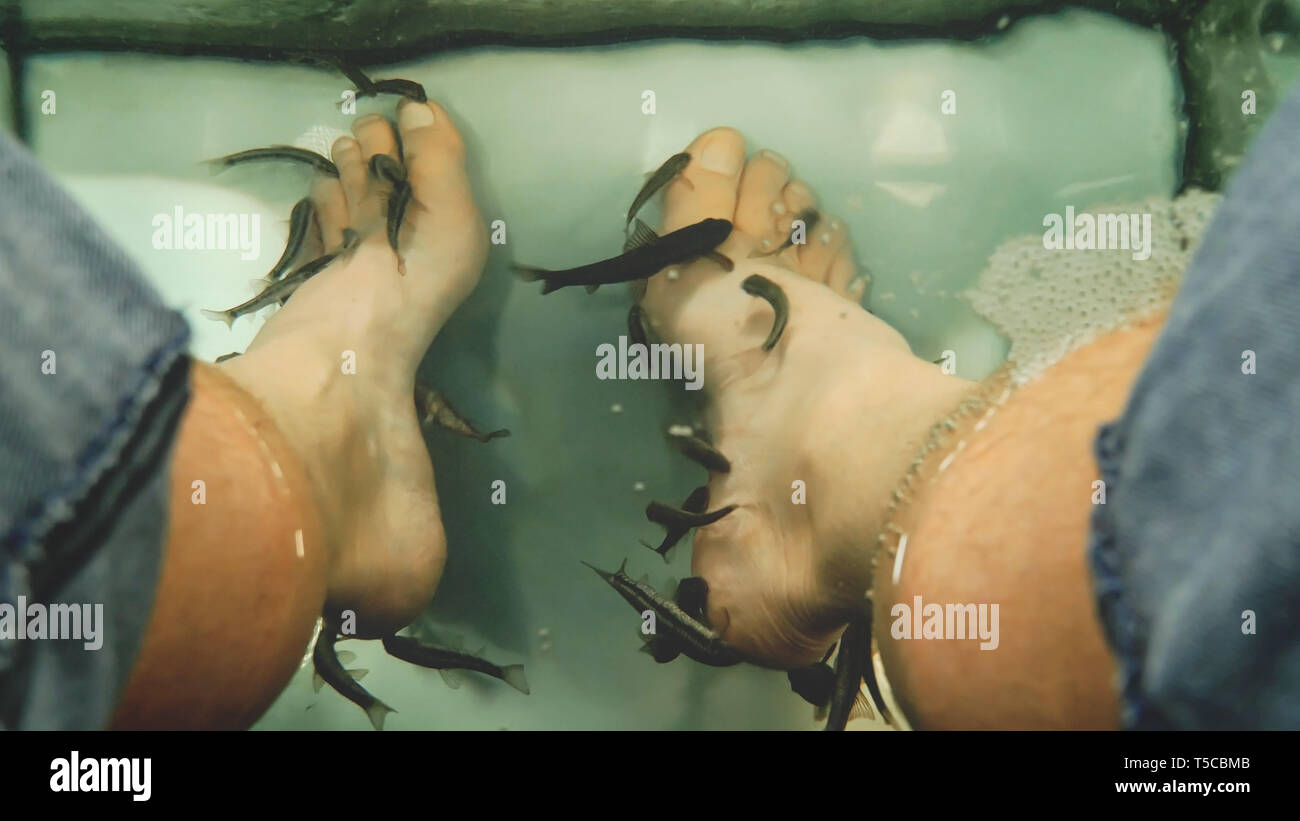 Fish Spa Pedicure, Rufa Garra Nibble Skin Off Man's Feet Stock Photo