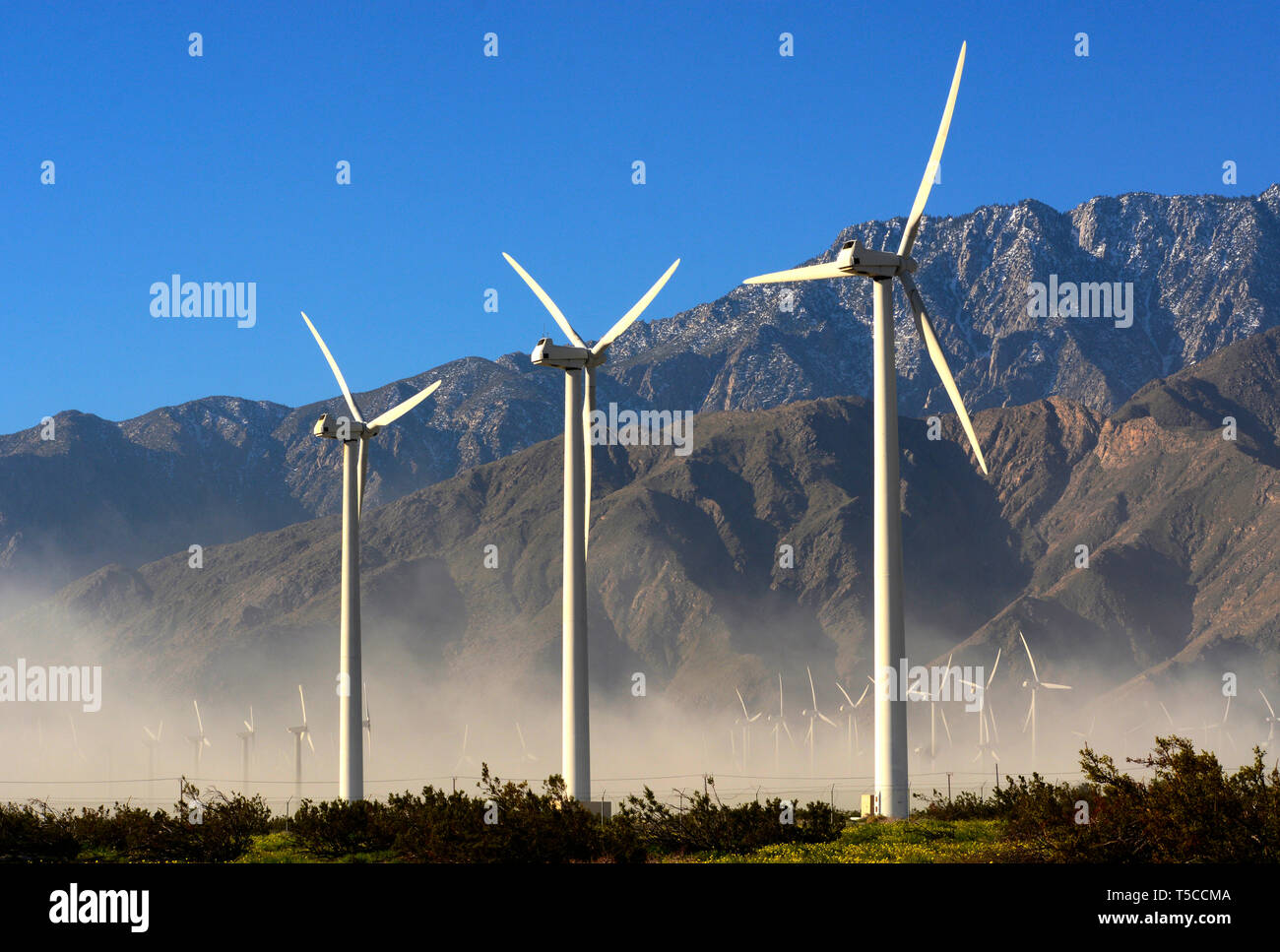 Wind turbines at the San Wind Farm in Palm Springs, California
