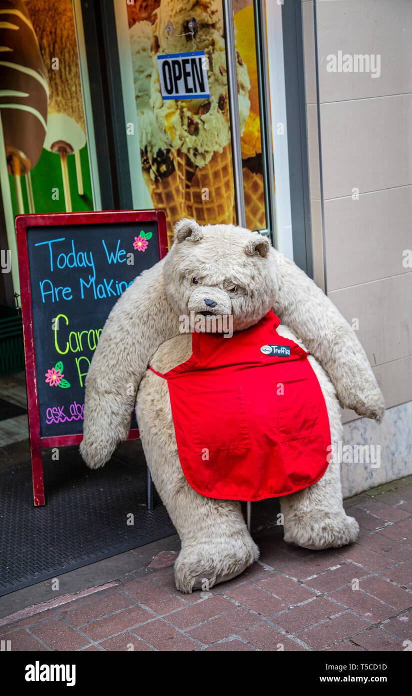 Stuffed Bear at Chocolate Shop Stock Photo