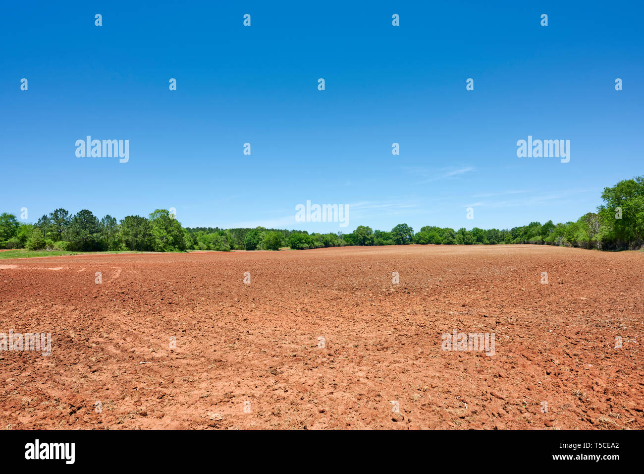 Freshly and evenly tilled field of red clay ready for planting in the cotton belt of Alabama or Georgia in the USA Stock Photo - Alamy
