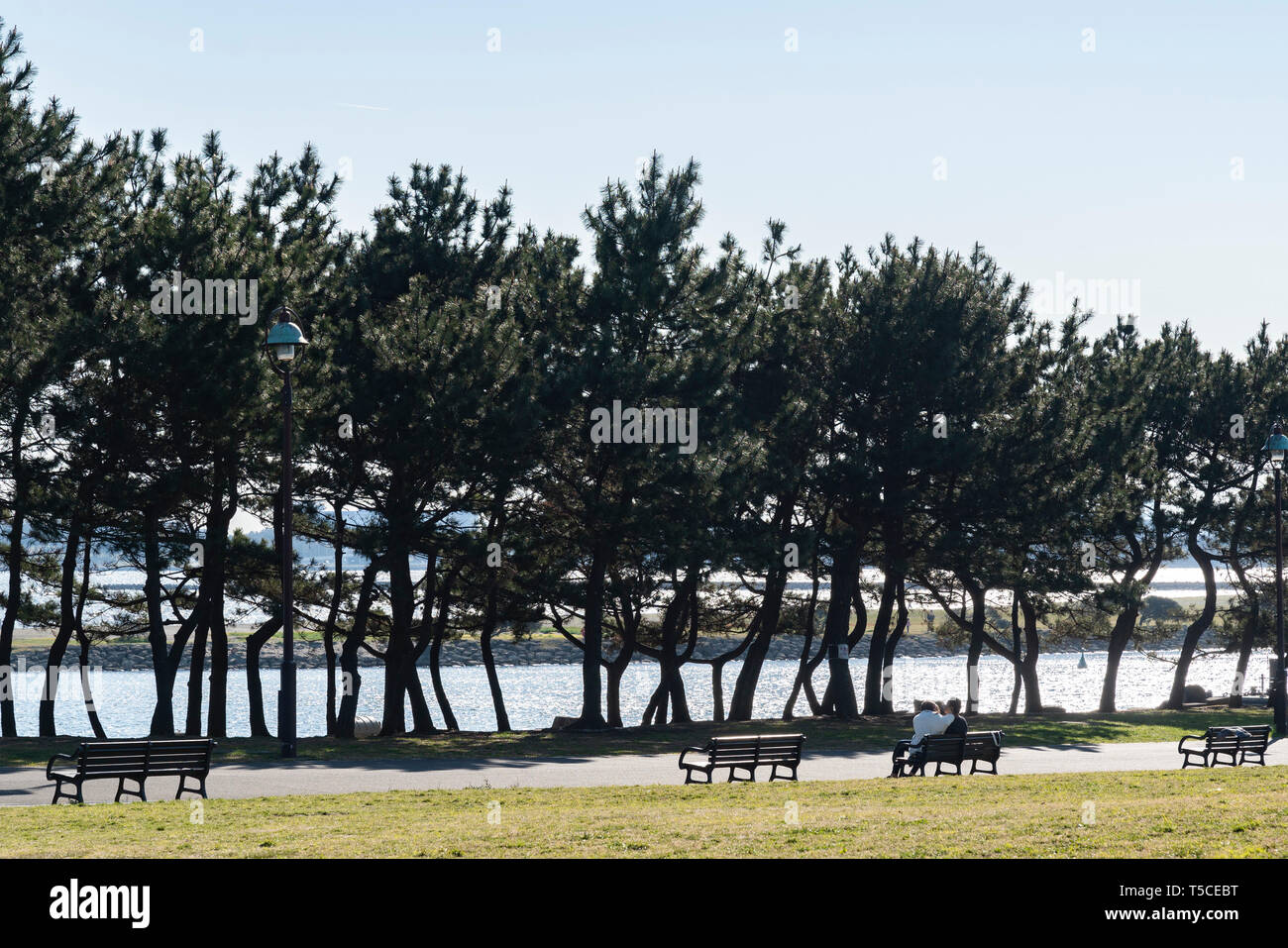 Edogawa ward hi-res stock photography and images - Alamy