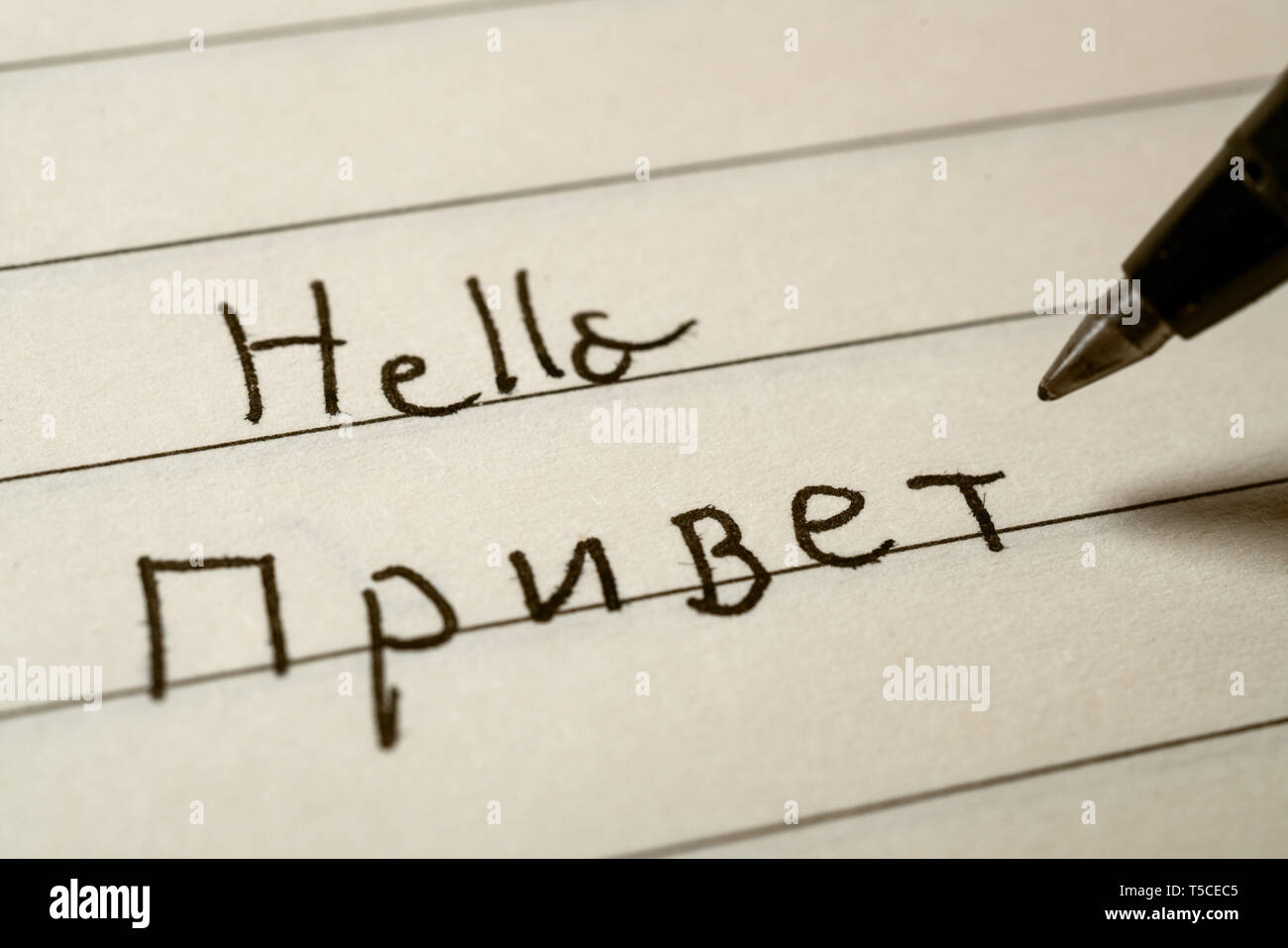 hello in russian google translate hello in russian google translate