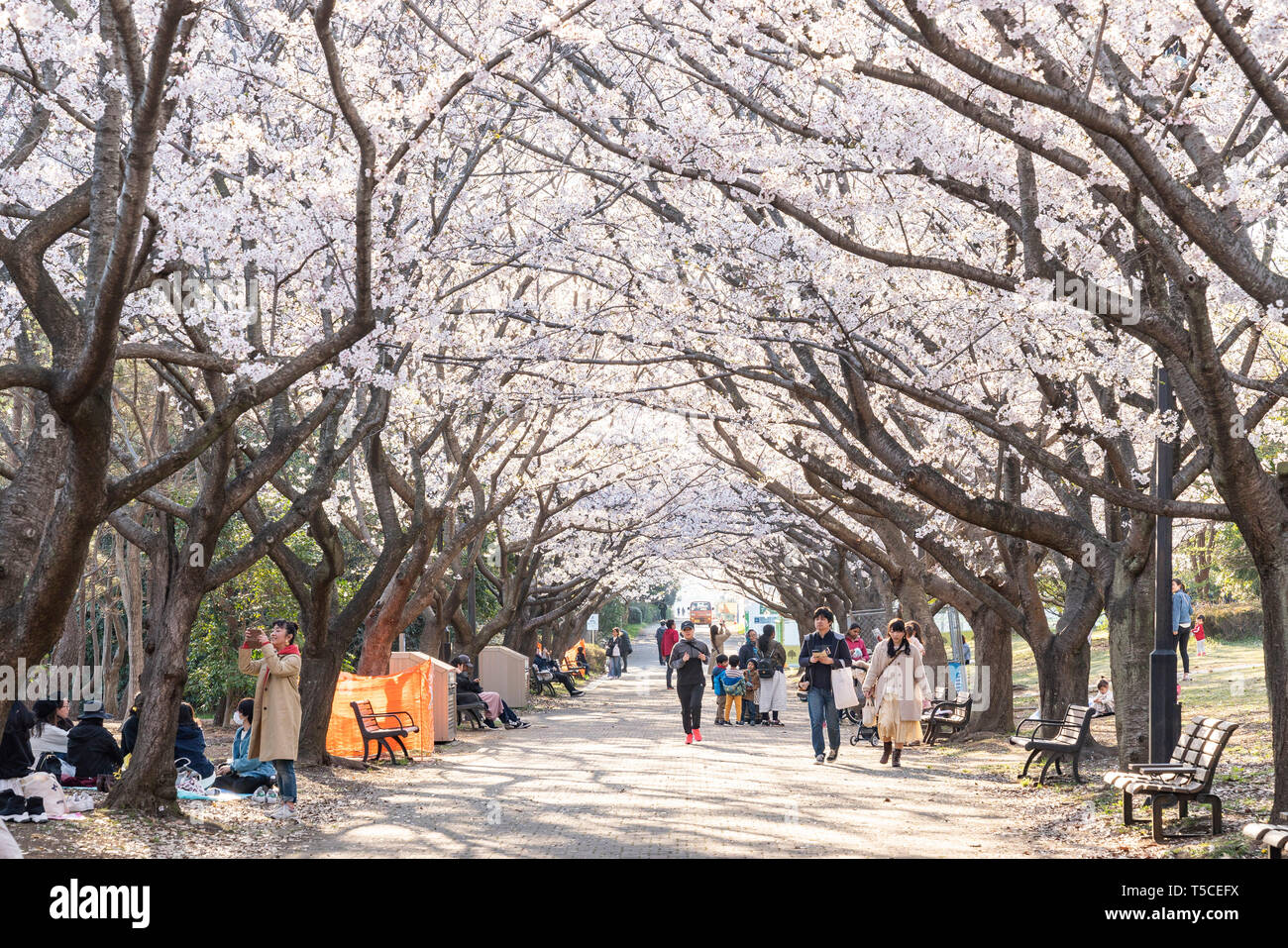Edogawa road hi-res stock photography and images - Alamy