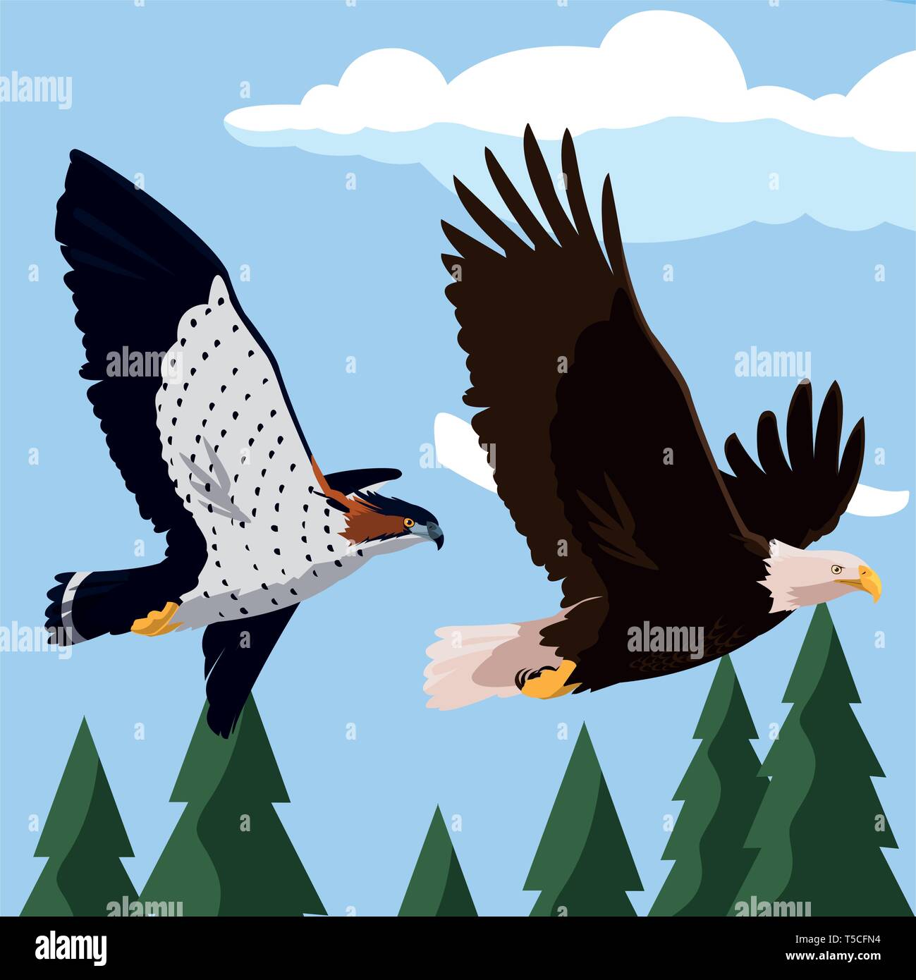 beautiful bald eagle and hawk flying in the landscape vector illustration design Stock Vector