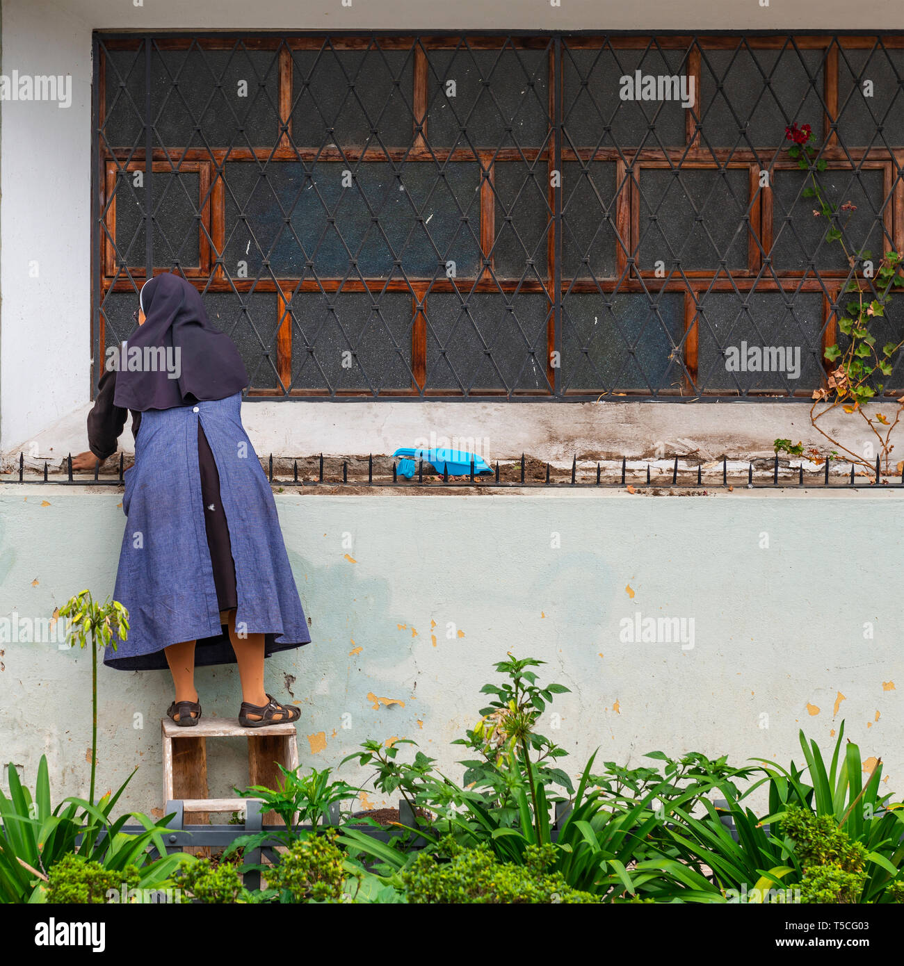 Square photograph of a catholic nun with habit cleaning the outside part of a convent in the city center of Cuenca, Ecuador. Stock Photo