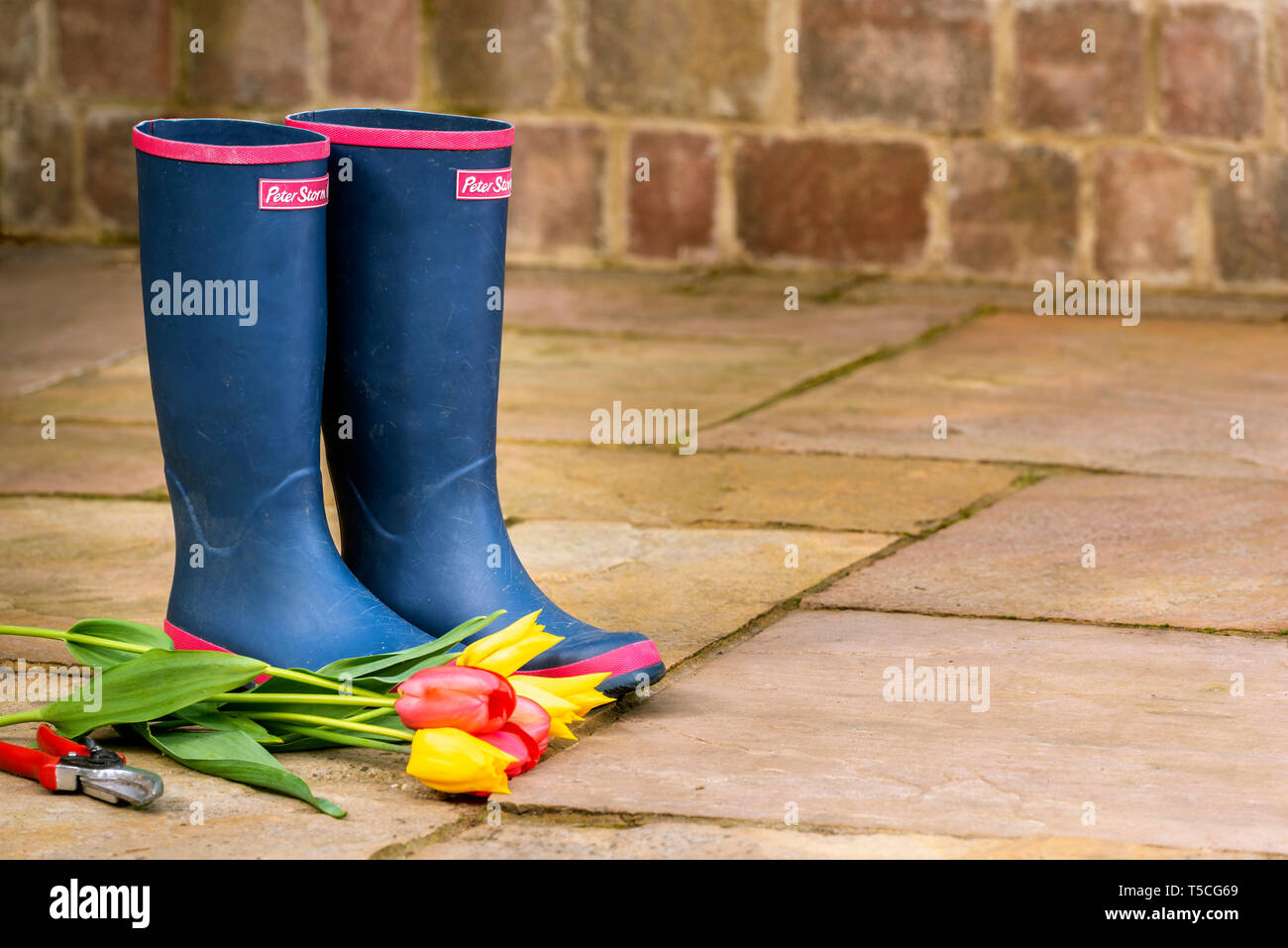 Pair of blue wellington boots on a stone patio. Ladies  rain boots. Spring cut flowers, yellow and red tulips, with secateurs. Stock Photo
