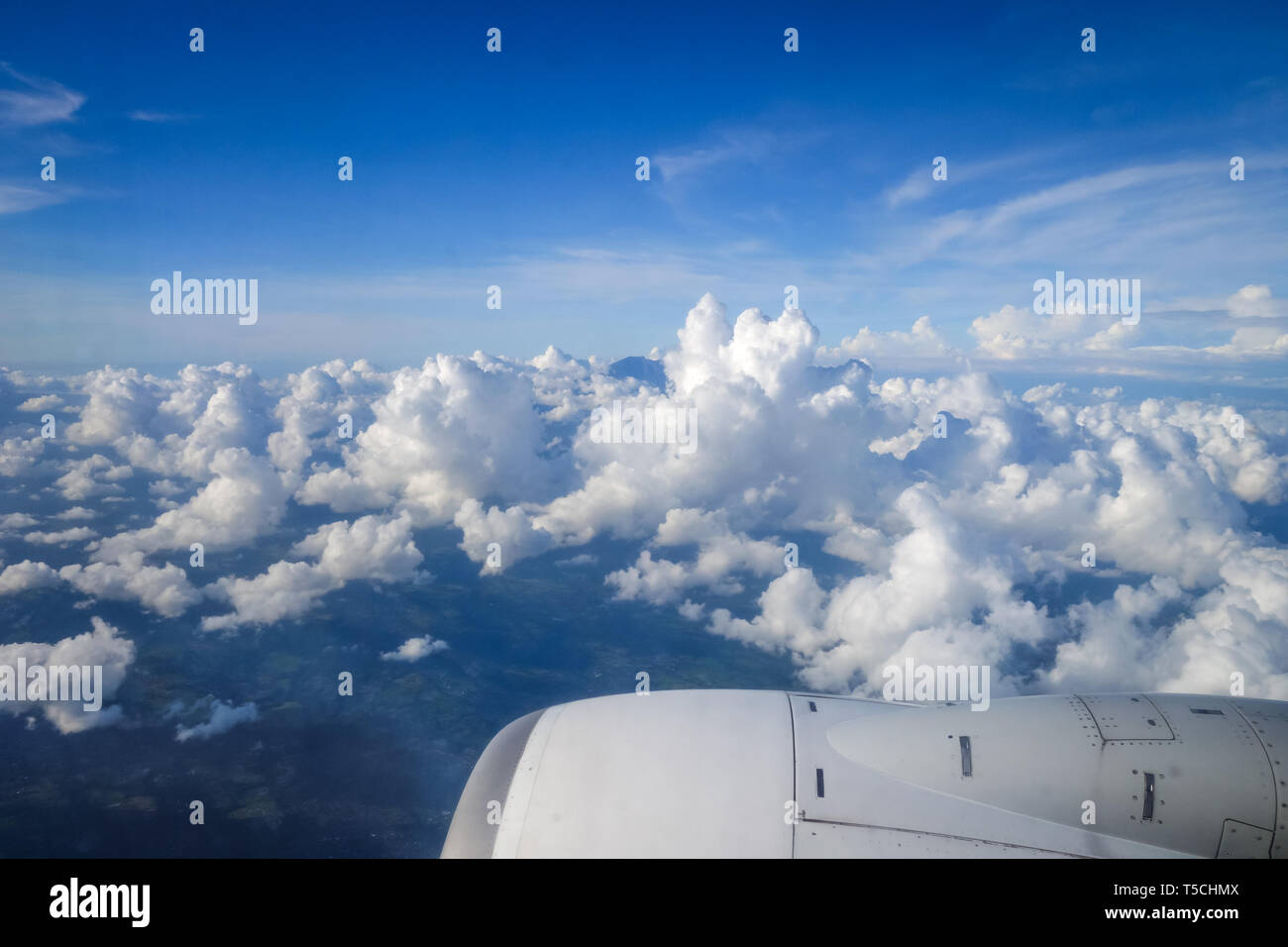Airplane flying in a blue sunny sky above clouds Stock Photo - Alamy