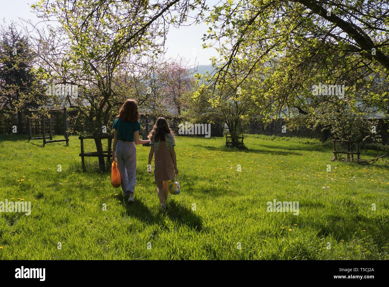 young girls on Easter Egg hunt in orchard near Llangollen in Denbighshire in Wales Stock Photo