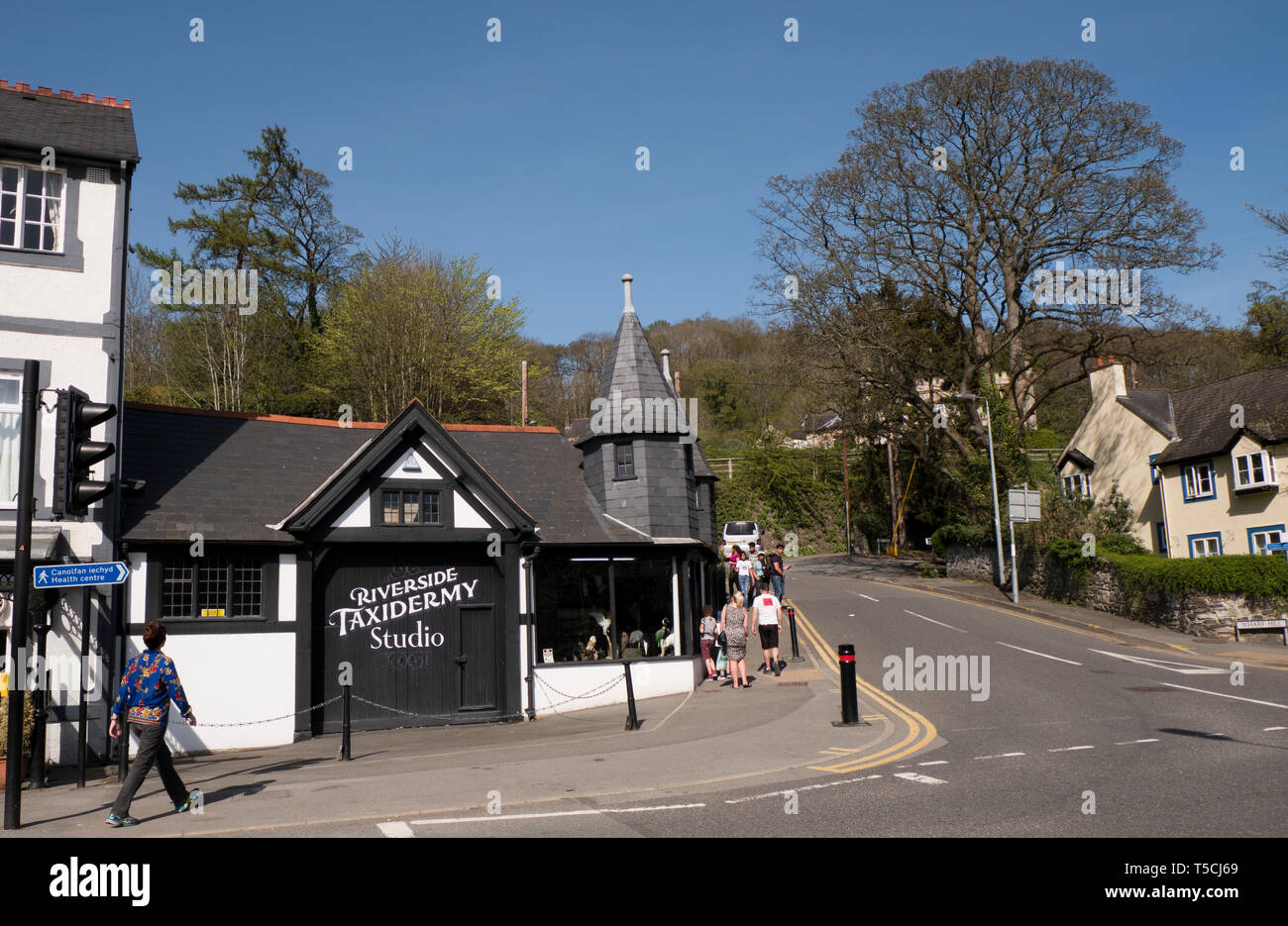 Taxidermy taxidermist hires stock photography and images Alamy