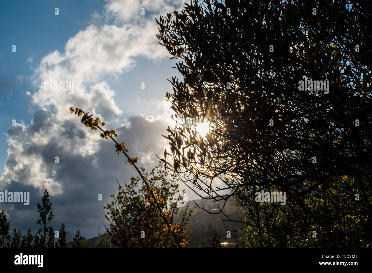 This is a capture of a landscape taken in Lebanon during spring 2019 and you can see the beautiful colors of nature Stock Photo