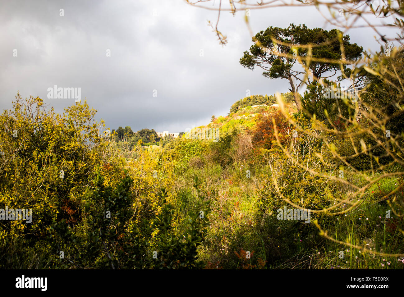 This is a capture of a landscape taken in Lebanon during spring 2019 and you can see the beautiful colors of nature Stock Photo