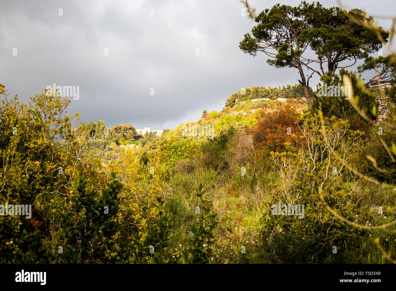 This is a capture of a landscape taken in Lebanon during spring 2019 and you can see the beautiful colors of nature Stock Photo