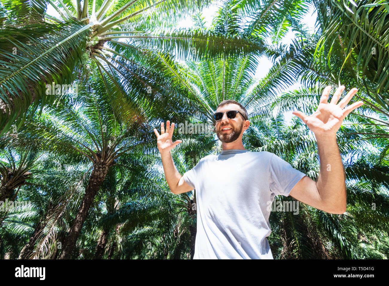 Bearded smiling man with glasses standing in the palm tree forest. Stock Photo
