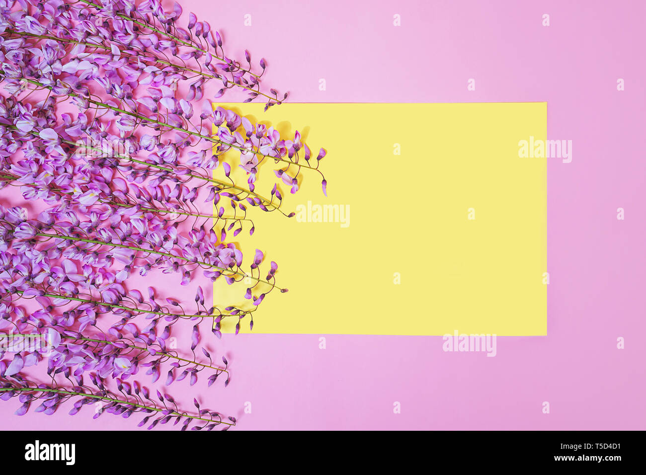 Beautiful purple pink wisteria flower branch with blossoms buds and yellow paper card note on pink background. Stock Photo