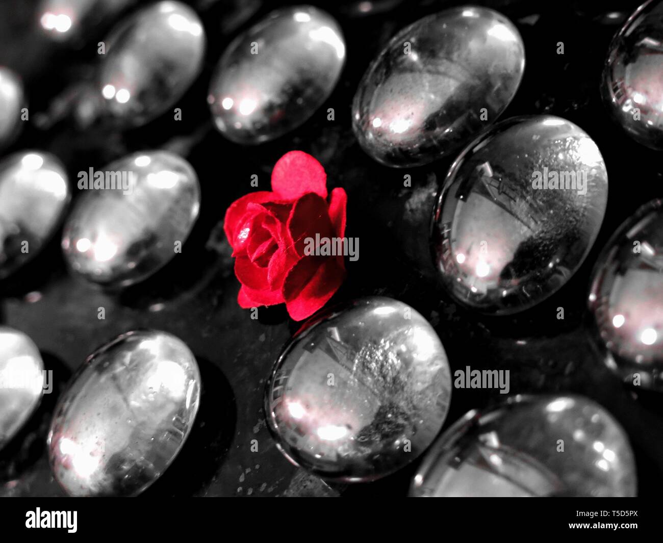 Red artificial rose among glass decorative marbles. (Conceptual depiction of difference and diversity). Stock Photo