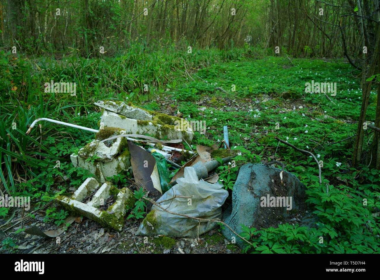 A pile of plastic rubbish in a woodland environment. Stock Photo