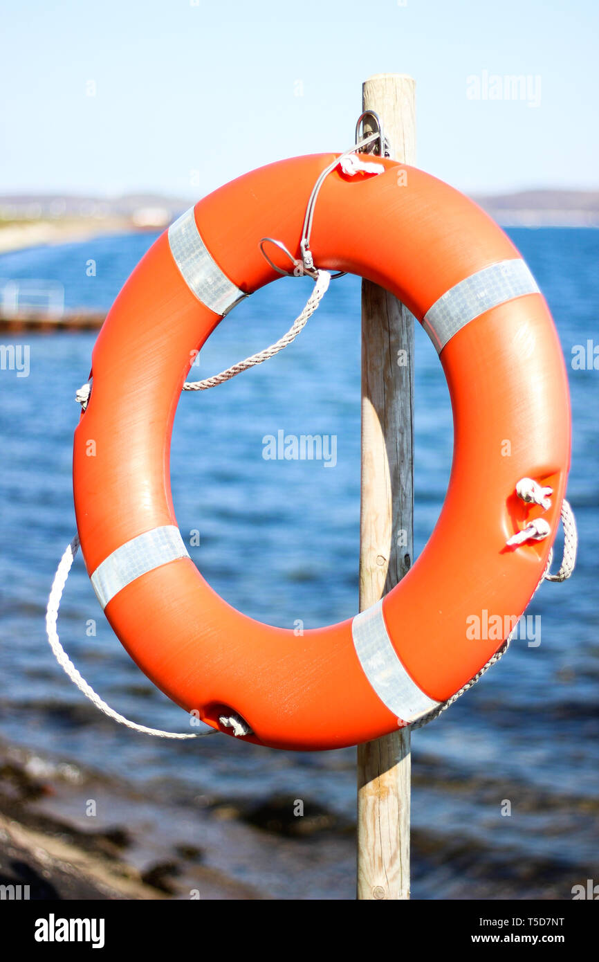 Rettungsring mit Seil hängt an Holzpfahl am Wasser der Kieler Förde Stock Photo