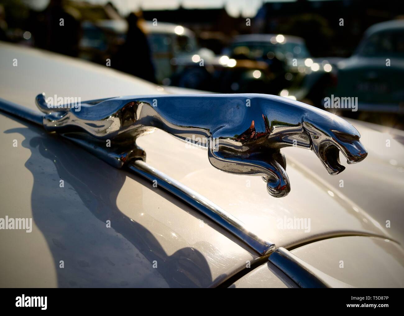 A leaping jaguar on the of a Jaguar Motor Car Stock Photo Alamy