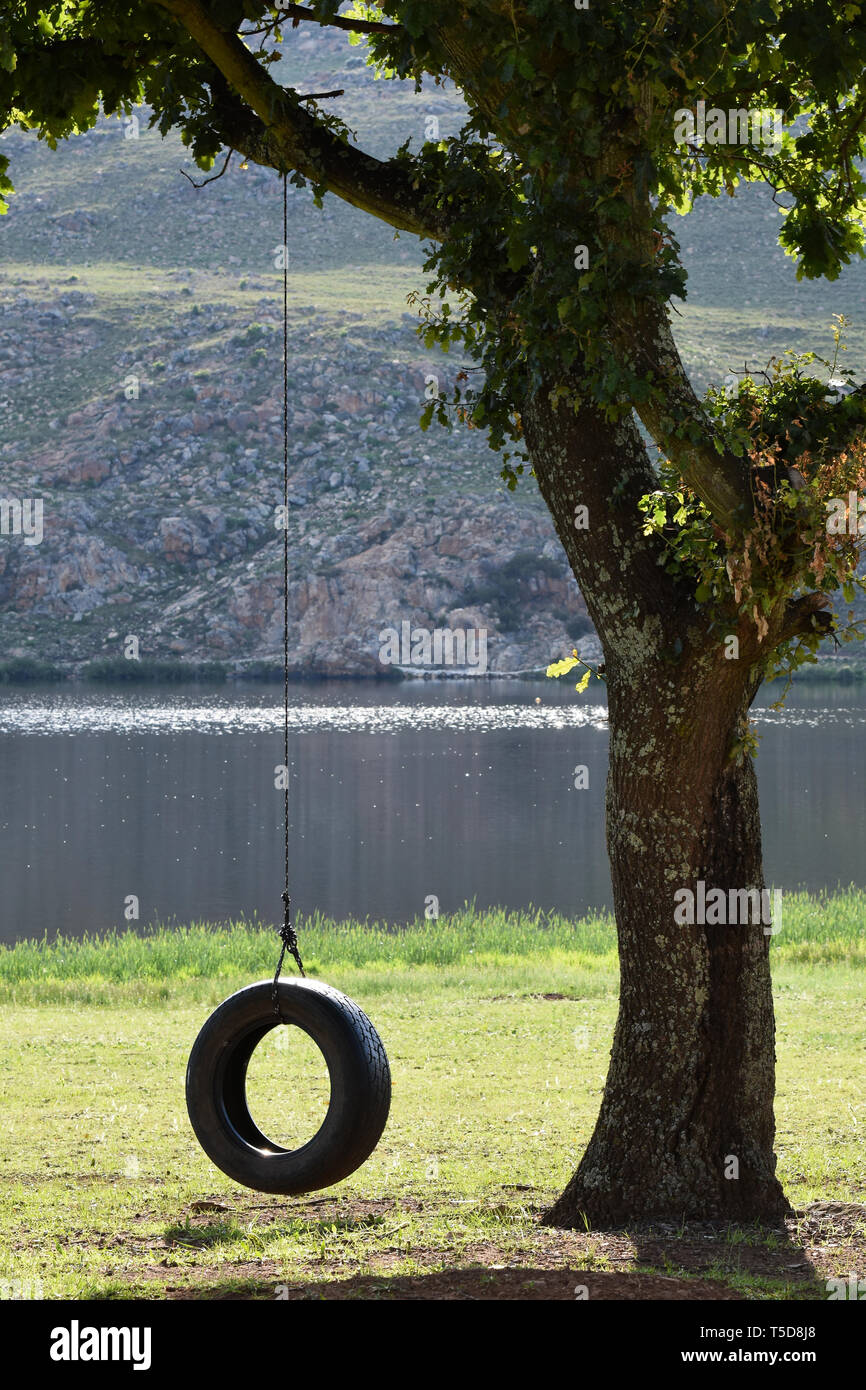 Tree swing hi-res stock photography and images - Alamy