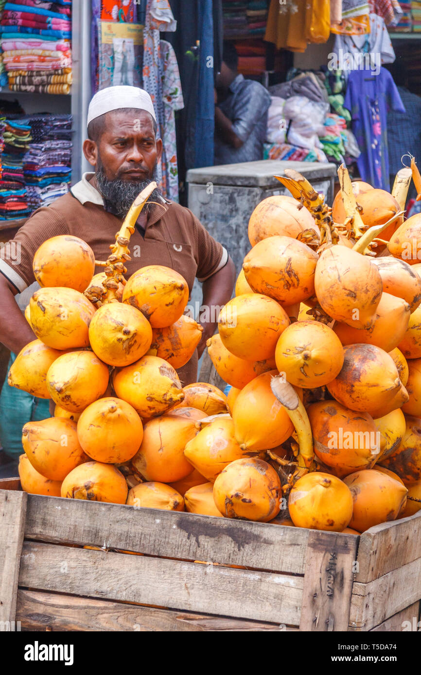Man selling coconuts in the Pettah districy of Colombo, Sri Lanka Stock Photo