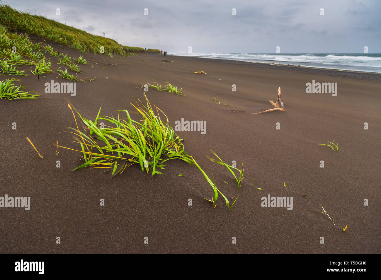 View of the waved waves of the Avachinskaya Bay , Avacha Bay and volcanic beaches. Kamchatka Peninsula, Russia. Stock Photo