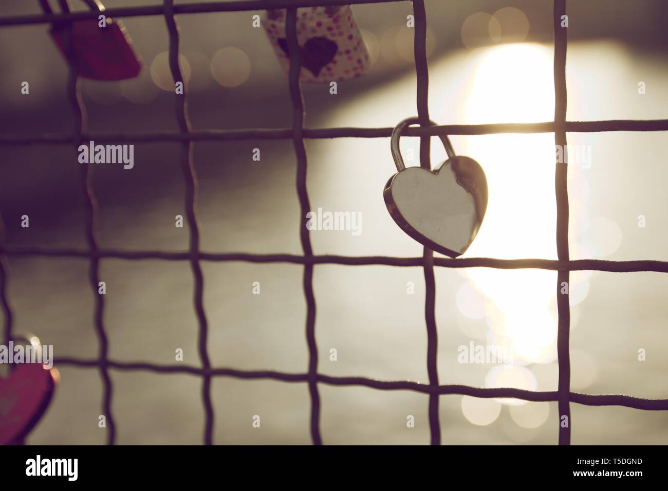 Love padlock on the railing of a bridge, Berlin, Germany Stock Photo