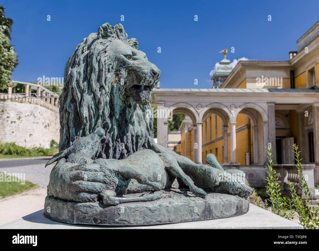 Bronze lion sculptures hi-res stock photography and images - Alamy