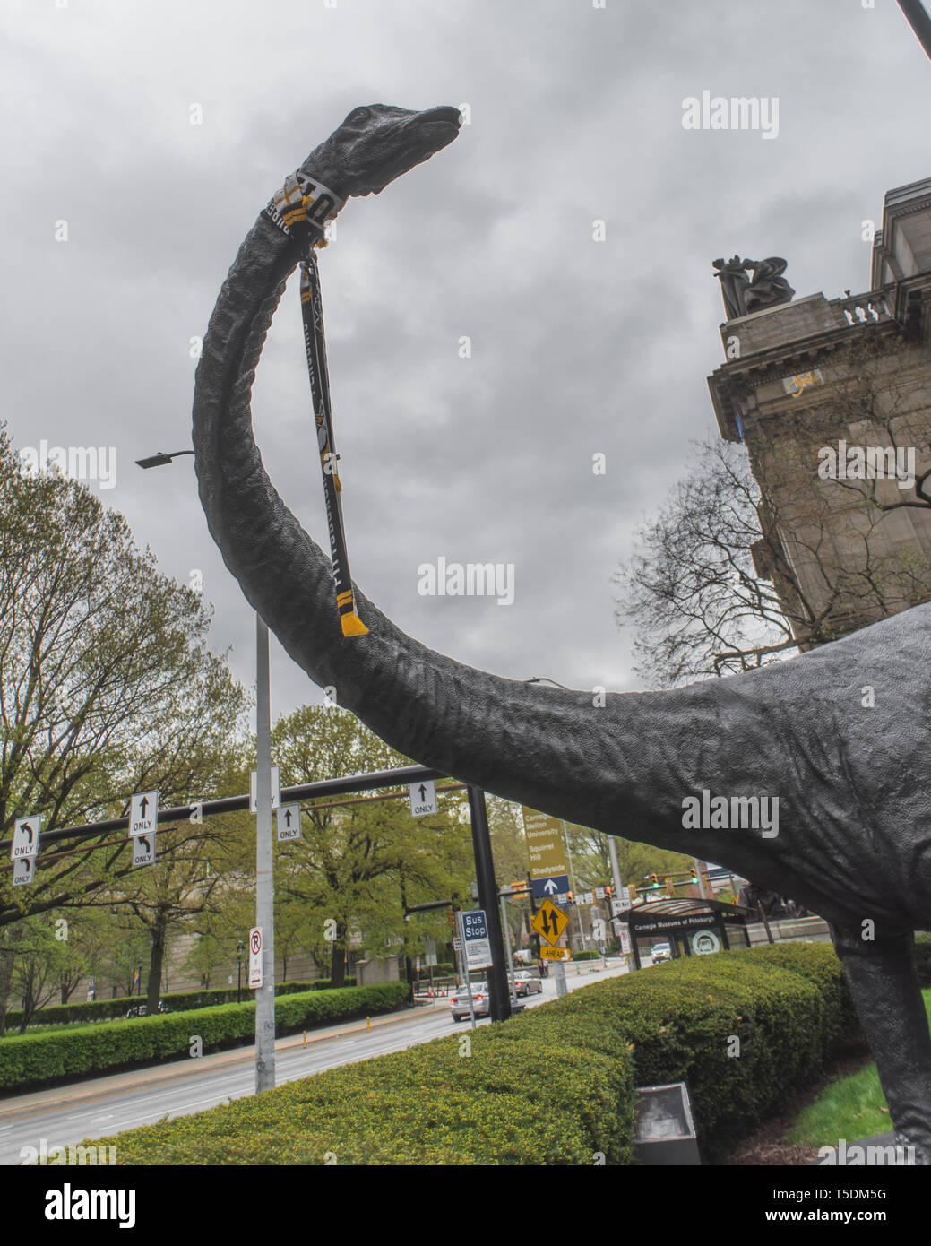 Dippy the Dinosaur Stock Photo - Alamy