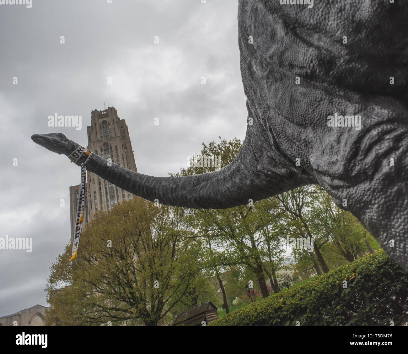 Dippy the Dinosaur Stock Photo - Alamy
