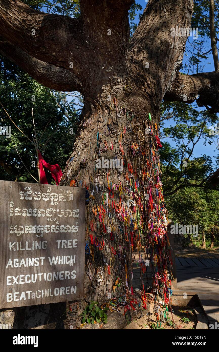 Killing Tree with bracelets in memory of killed children, Killing Fields of the Khmer Rouge, Choeung Ek, Phnom Penh, Cambodia Stock Photo