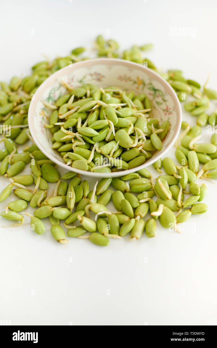 Closed up fresh Nitta bean sprouts for Thai traditional menu. Stock Photo