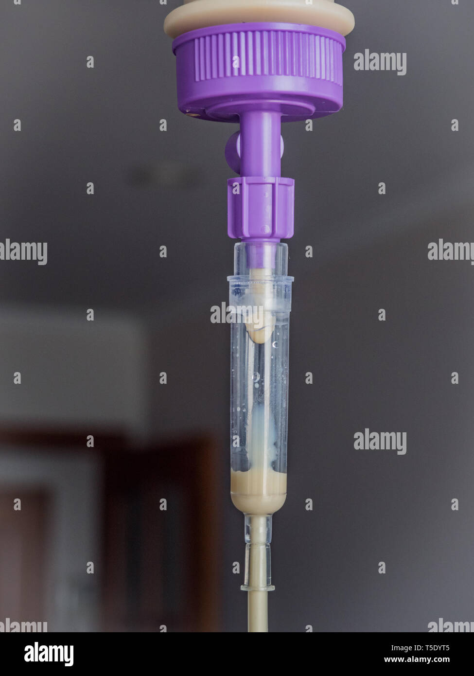 Peg tube hires stock photography and images Alamy