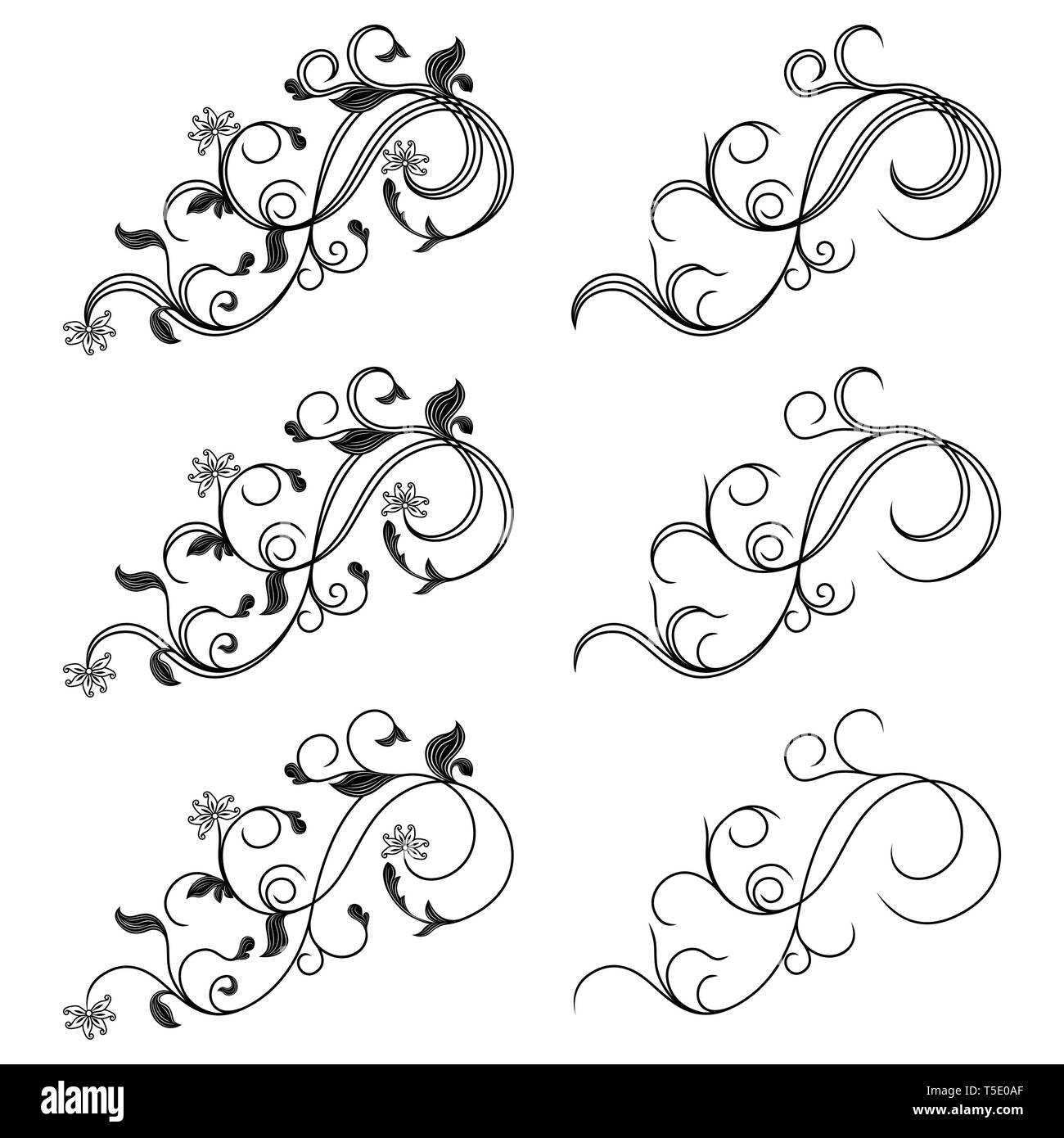 Set of isolated ornamental design elements with leaves, flowers and ...
