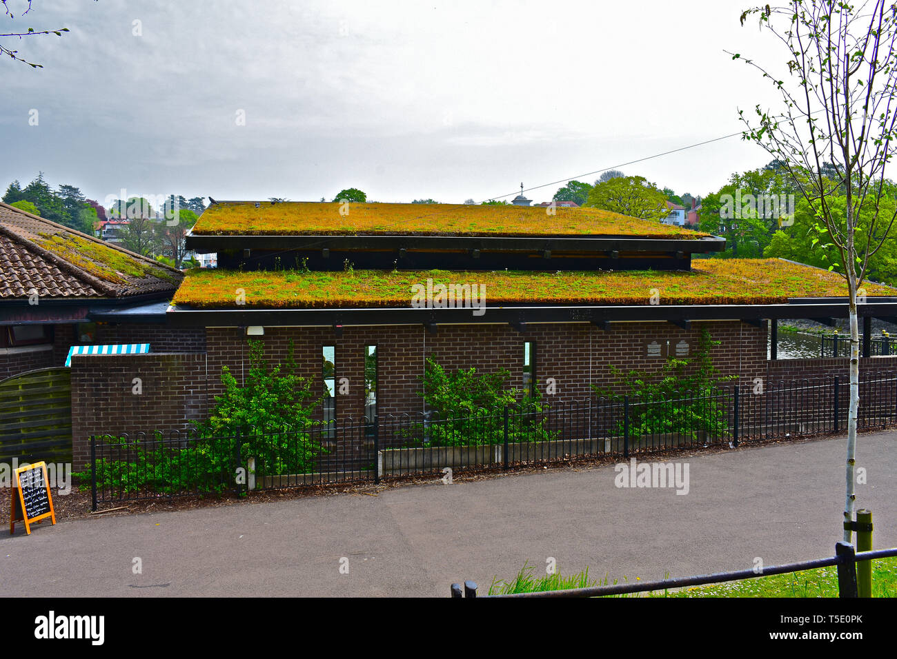 The moss & lichen covered roof of Terra Nova, the café situated on the side of Roath Park lake, Cardiff, S.Wales Stock Photo