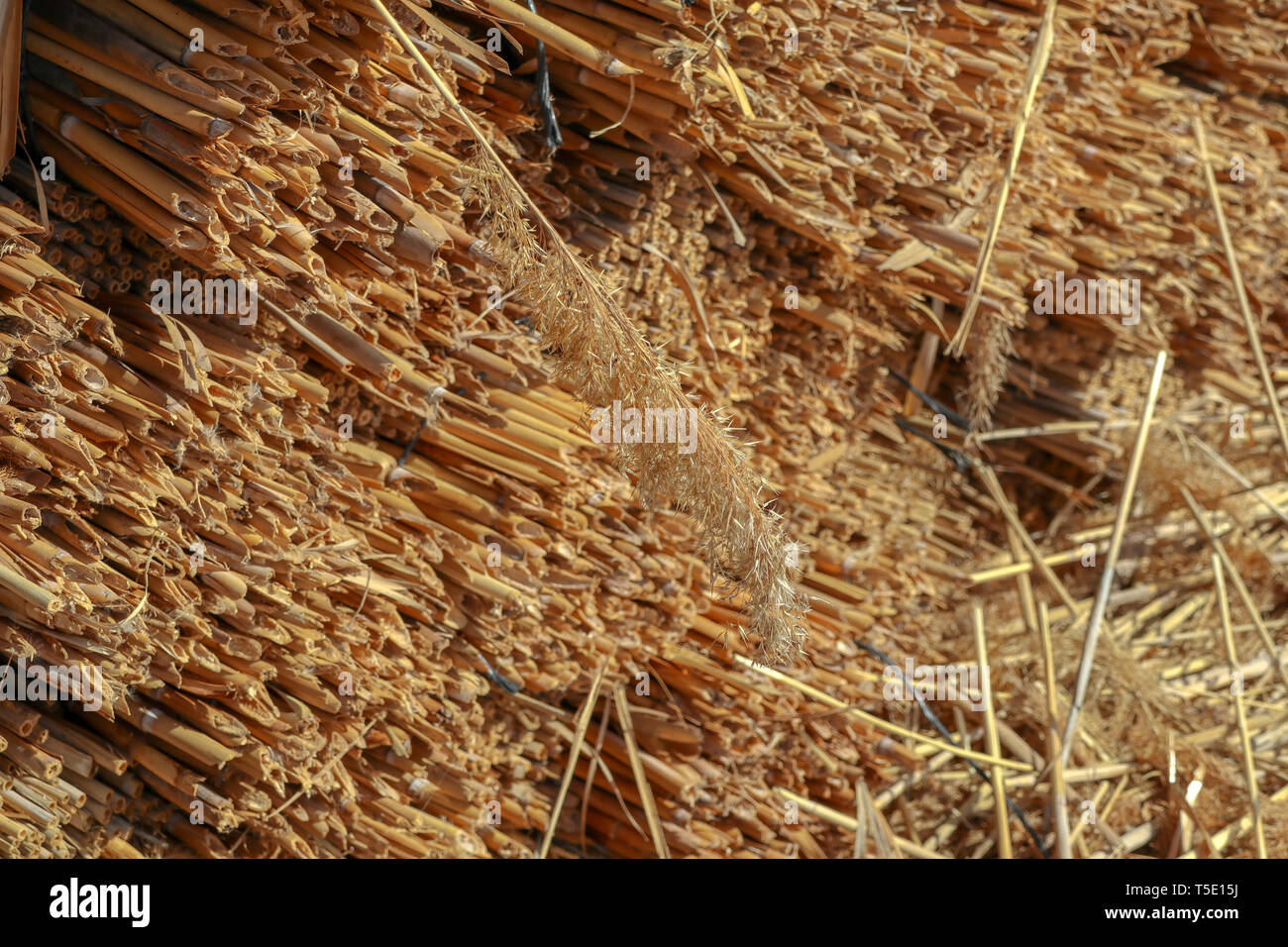 Collected material hi-res stock photography and images - Alamy