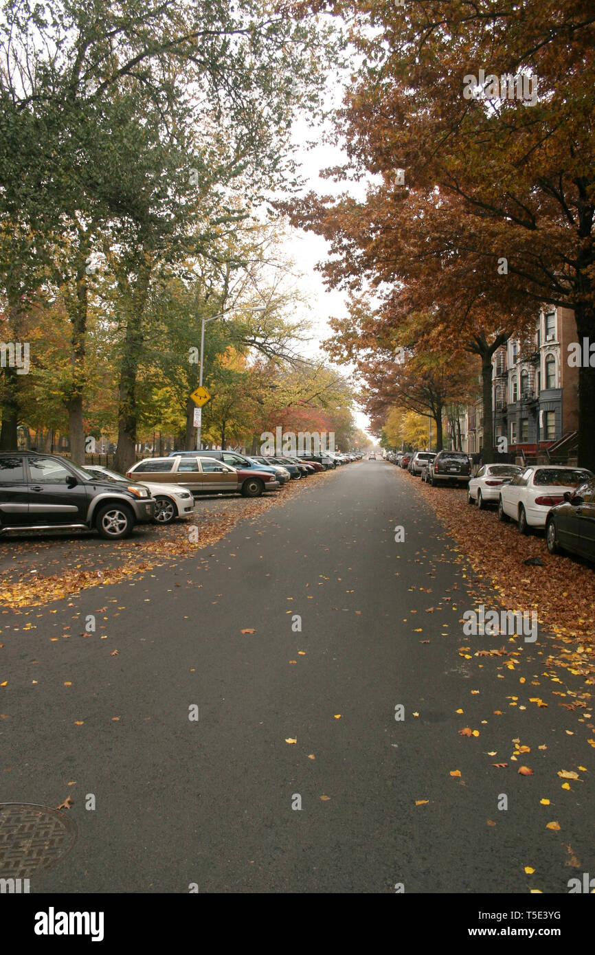 Quiet street in the Crown Heights neighborhood in Brooklyn, New York City, USA Stock Photo Alamy