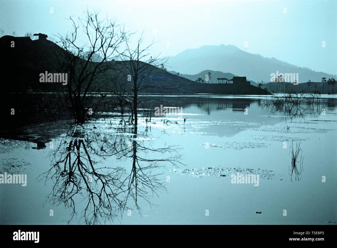 Serene riverscape at dawn hafeshwar Gujarat, India, Asia Stock Photo