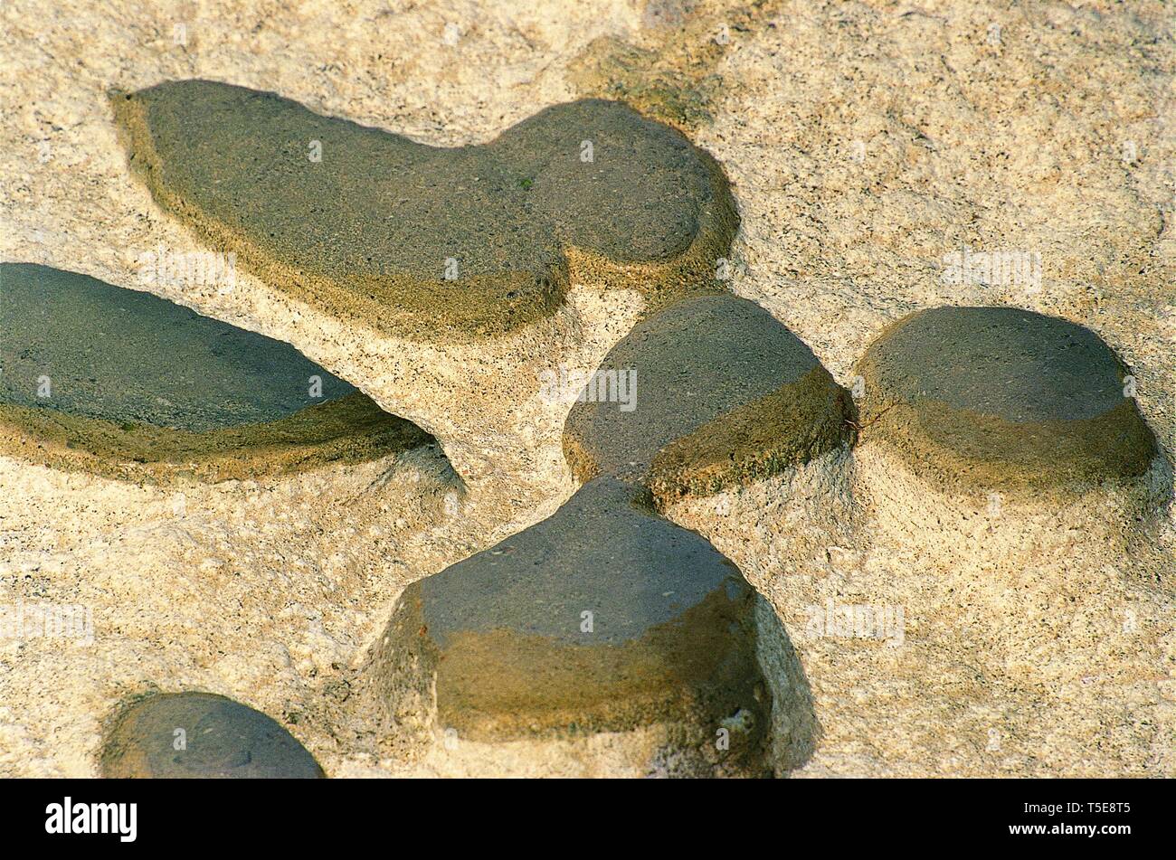 Water Accumulated During High Tide in Rocky Puddle, Gujarat, India, Asia Stock Photo