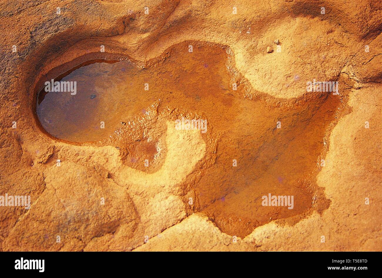Water Congested in a Rocky Puddle, South Gujarat, India, Asia Stock Photo