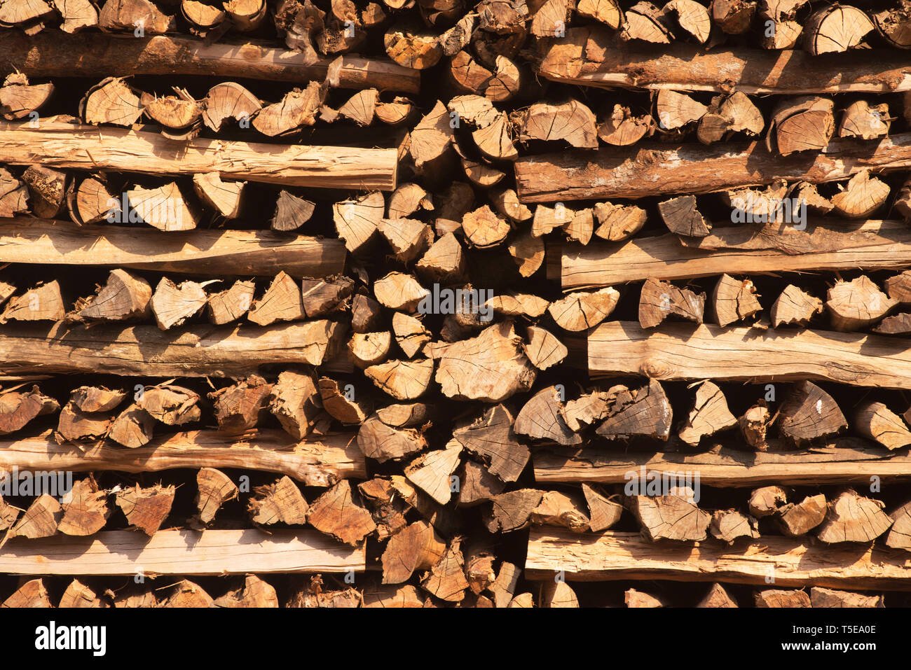 Systematically arranged heap of wooden logs, Bhubaneswar Orissa, India, Asia Stock Photo