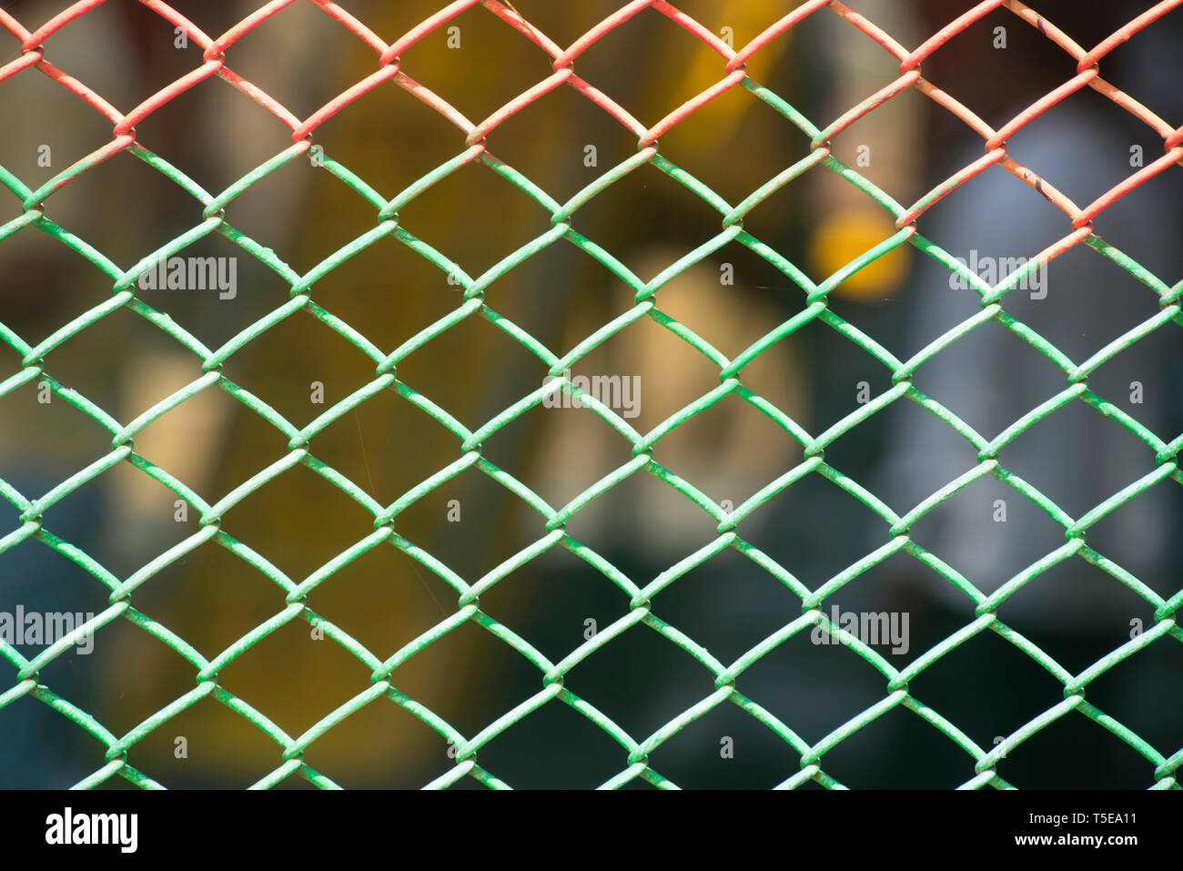 Garden fencing, metal fence, chain link fence, painted fence, Shivaji Park, Bombay, Mumbai, Maharashtra, India, Asia, Indian, Asian Stock Photo