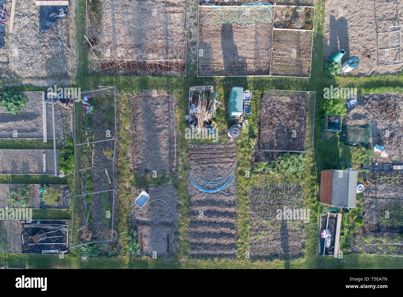 aerial view of allotments in spring in  burgess hill west sussex taken by drone Stock Photo