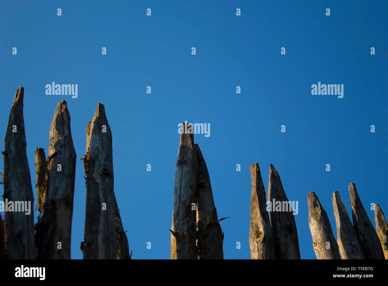 Palisade defense defence hires stock photography and images Alamy