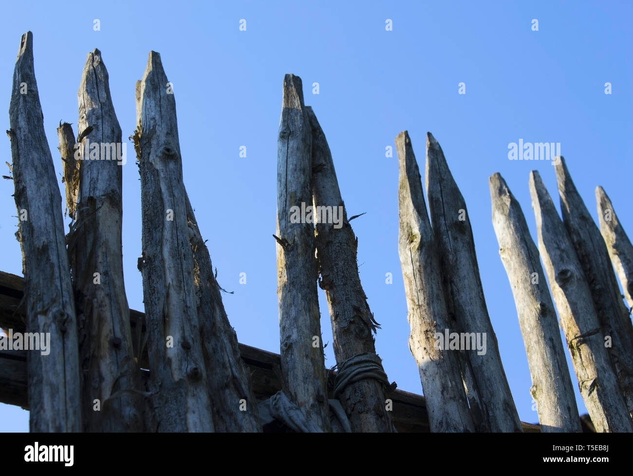 Palisade defense defence hires stock photography and images Alamy