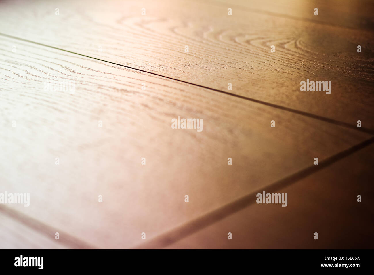 Picture Idea: Flooring New Apartment And Home Renovation Concept