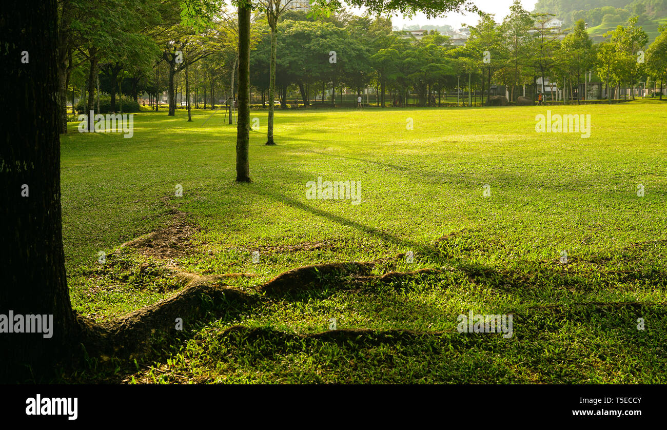 Big green park hi-res stock photography and images - Alamy