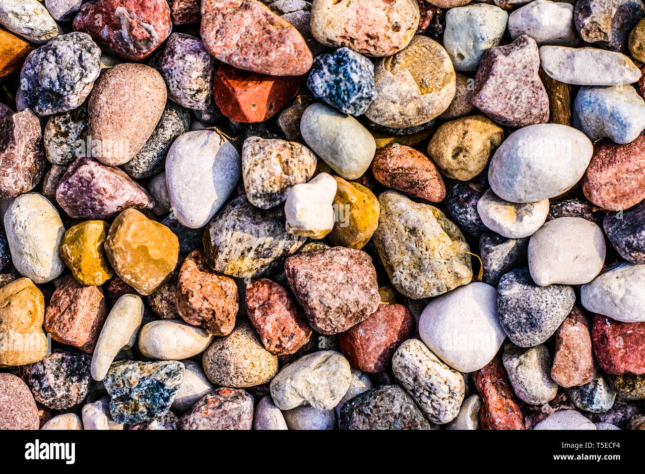 Landscape architecture, interior design and nature elements concept